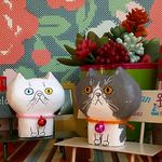 Hさま オーダーページ(181128)