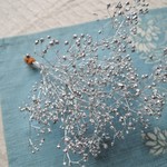 ソフトかすみ草