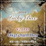 2019 14kgf 宝石チャーム¥2,000 予約受付中  1/10より発送開始 25日まで受付中！