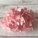 アンデスアジサイベビーピンク入荷❣️ハーバリウム花材プリザーブドフラワー紫陽花小分け