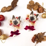 シャム猫のクリスマスなぷっくりブローチ