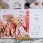 なな&ルナ 2019卓上カレンダー