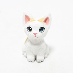 コルクのクリーム茶白とび子猫