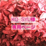 KOーSYU様専用ページです