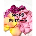 【cocoa様専用カート】