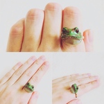 ケロケロリング🐸💕