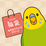 BIRDSTORY福袋 2019（セキセイインコ グリーン）