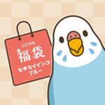 BIRDSTORY福袋 2019（セキセイインコ ブルー）