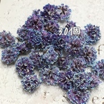 かすみ草 ドライフラワー 雪の花 二藍