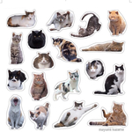 CATシール2
