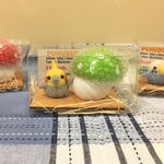 オカメインコと緑きのこの小物入れ