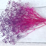 パープルグラデーションキラキラカスミ草小分け❣️ハーバリウム花材プリザーブドフラワー