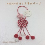 4410nt0723様専用ページです。