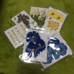 青系押し花素材セット☆