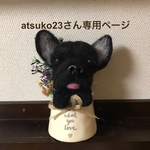 ポット犬オーダー