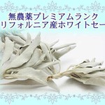 ★マニュアル付★入手困難★無農薬★カリフォルニア産★最上級★枝付プレミアムホワイトセージ（浄化