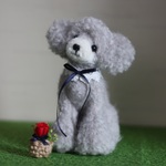 シルバートイプードル。。。羊毛フェルト