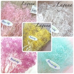 la nature様