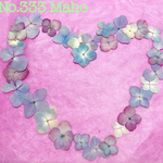 ♡紫陽花MIX♡お得セット♡押し花素材♡