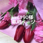 uco190様専用ページ