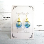 琉球の海  ～ピアス・イヤリング～