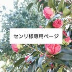 【センリ様専用】