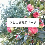 【ひよこ様専用】