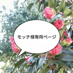 【モッチ様専用】