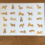 柴犬のペーパーA4サイズ