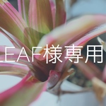 leaf様専用ワイヤーアレンジ ガーランド