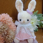 *SABOBEAR*　テディベア　白うさぎ