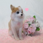 🎀ご予約のお客様専用ページ　チワワ