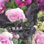 【h様専用ページ】