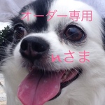 nさま専用オーダー画面