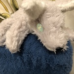 もっちりお尻のくたくた狼さん