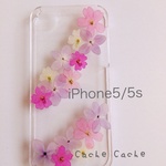 ピンク⑤あじさいとバーベナの押し花iPhone5/5sケース