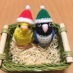 mogu0531さま♡専用: インコちゃん用サンタぼうし