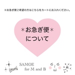 お急ぎ便✱︎オプション