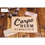 【A5】ステンシルシート『CARPE』送料無料