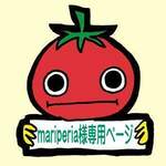 【専用ページ】