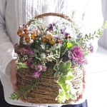 香る葉っぱと育種ビオラの花かごギャザリング B