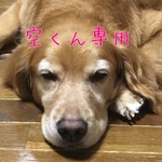 空くん専用