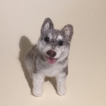 フェルト犬 シベリアンハスキー グレーさん　<MW156>