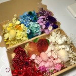 花材セット ハーバリウム花材ドライフラワー 押しイチゴ入り♡6色２BOX