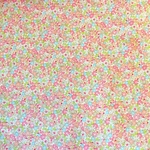 tomoenarinaさま☆専用ページ
