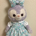 受注販売ステラルーグリーンコスチューム