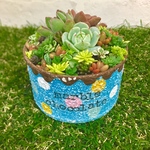 sale✨❤︎多肉植物可愛いリメ缶のちまちま寄せ植え