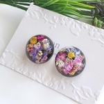 押し花　ボタニカルドームピアス３