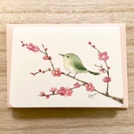 🐤透明水彩画　2枚セット 「梅とうぐいす」 イラストミニカード 鳥　寒中見舞い　お年賀　バースデーカード　メッセージカード🐤