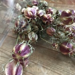 花材詰め合わせ☆フーセンポピー2色20本セット